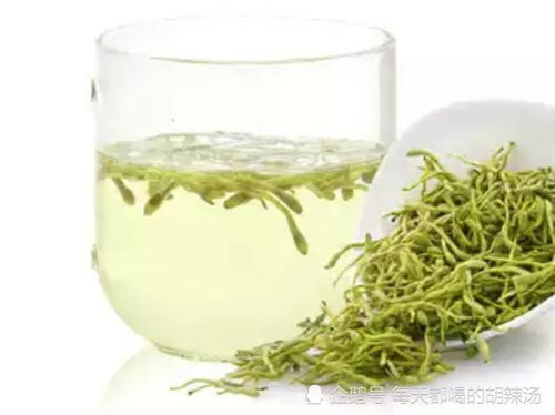 金银花的副作用与禁忌 五类人不能喝金银花茶