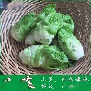 钙菜的营养价值及功效 吃钙菜的好处与坏处