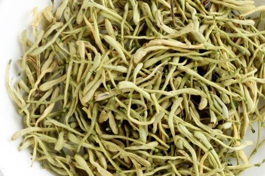 金银花的十大功效 金银花对男人性功能有效吗