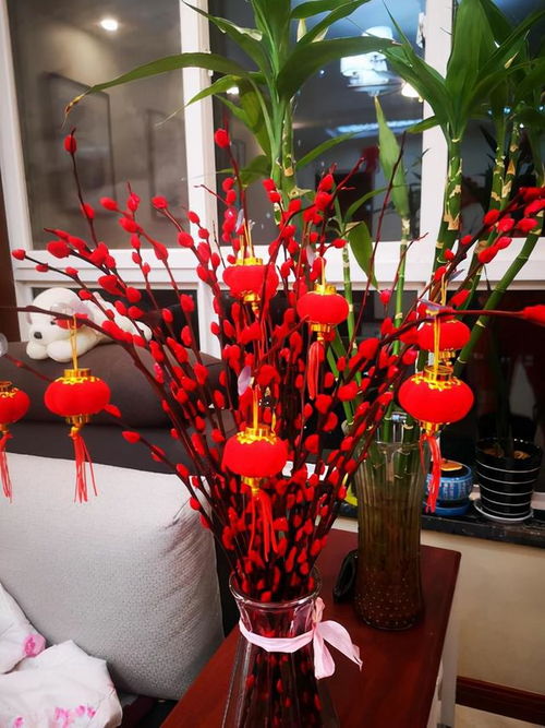 银柳的寓意和象征风水 银柳干花风水禁忌