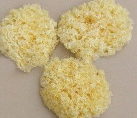 银耳泡发12小时以上还能吃么 银耳泡了24小时有毒吗