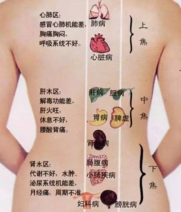 长期做背部排毒的好处 女性背部淤堵的表现