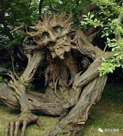 门前种女贞树风水好吗 女贞树是吉树还是凶树