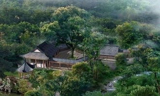 门口种竹子风水十大禁忌 三种竹子最旺家宅