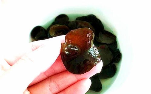 隔夜的熟木耳能不能吃 泡好的木耳可以隔夜吗