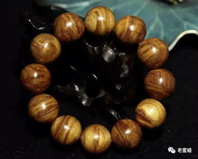 降龙木与属相相克 哪个生肖不能佩戴降龙木