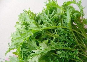 雪里红营养价值及功效 吃雪里红的危害