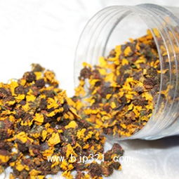 雪菊的副作用 长期喝雪菊的副作用