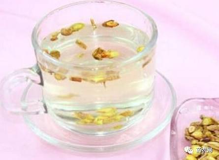 雪菊的作用和功效与禁忌 雪菊泡水喝的9大禁忌