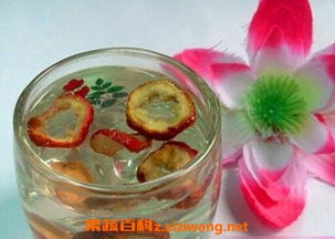 雪菊喝了有什么好处 雪菊泡水喝的9大禁忌
