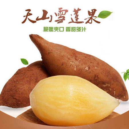 雪莲果一年四季都有吗 雪莲果十大危害