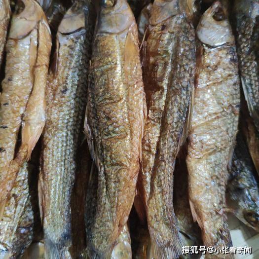 青鱼为什么很少人吃 青鱼为什么叫死人鱼