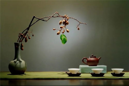 青梅的寓意是什么 青梅的文化内涵