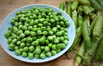 青豆和毛豆是一样的吗 青豆就是剥壳后的毛豆吗