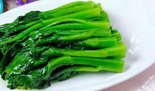 青菜大全1000种 所有青菜种类