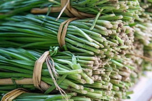 韭菜算不算发物 鸡蛋算不算发物