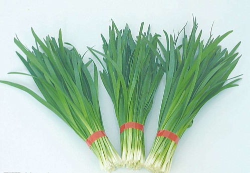 韭菜多久吃一次最壮阳 排名第一壮阳食物