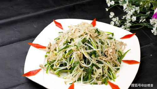 韭菜的15种做法 韭菜最简单的吃法