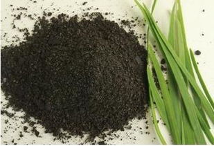 韭菜籽怎么吃最好 韭菜籽配什么壮阳最猛