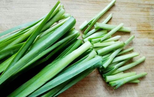 韭菜不宜吃的季节 立秋后吃韭菜好不好