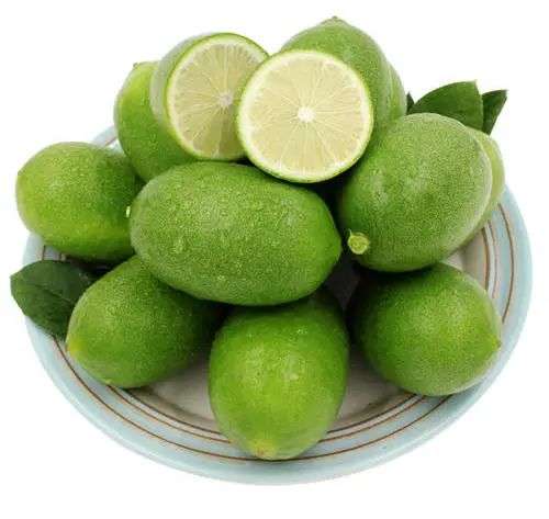 香水柠檬哪个品种好 台湾香水柠檬和广东香水哪个更好