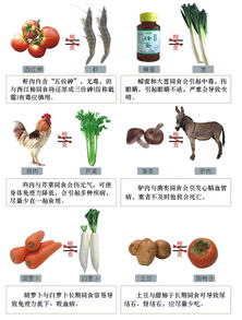 食物相宜相克大全表 食物相宜相克相生表