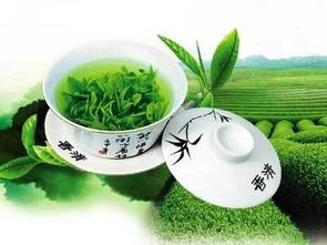香气最浓的绿茶是什么茶 特别香的那个茶叫什么