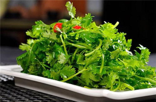 香菜的100种做法 推荐十种香菜吃法