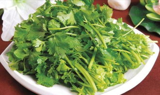 香菜和什么炒最好吃 香菜的最佳搭配