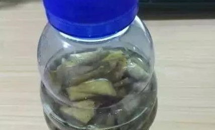 香蕉皮做肥料大禁忌 香蕉皮淘米水一起发酵