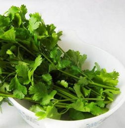 香菜水对肾有什么好处 香菜补肾还是毁肾