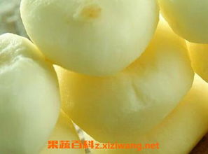 马蹄的十种吃法 马蹄正确吃法大全