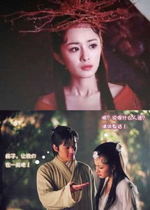 鬼界为什么喊红葵龙葵大人 红葵为什么要离开蓝葵