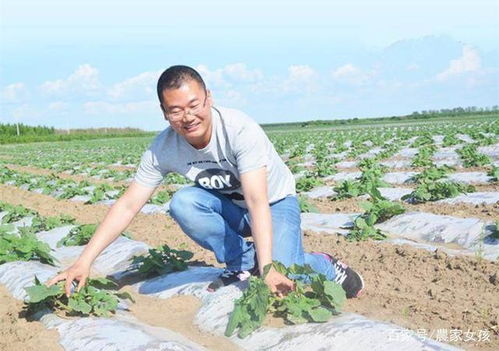 高粱种植时间 高粱亩产1500斤品种