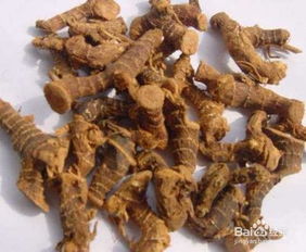 高良姜和香附能治慢性胃炎吗 高良姜10g香附10g之妙用