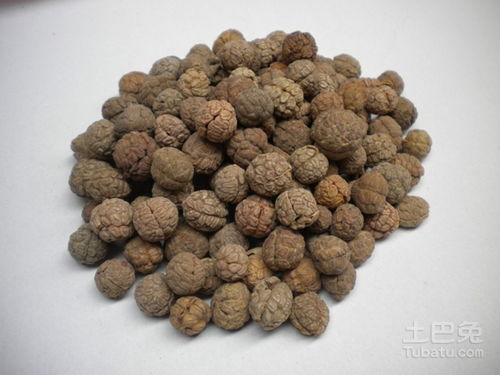 魔芋花能治肿瘤吗 山魔芋治肿瘤功效与作用