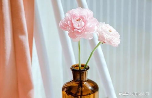 高雅有内涵的花名 取个独特的花名