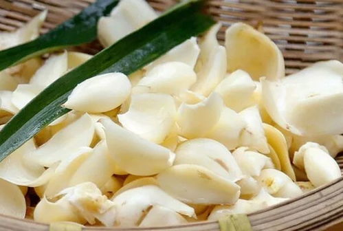 鲜百合的禁忌与副作用 一天吃一头鲜百合多吗