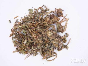 鱼腥草茶的功效与作用 鱼腥草对男性性功能有影响吗