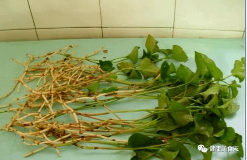 鱼腥草最大的交易市场 鱼腥草大型公司收购
