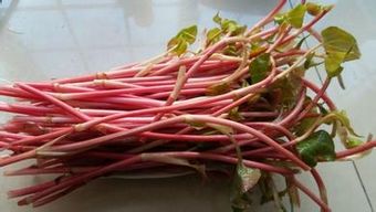 鱼腥草煮4一5分钟能喝水吗 鱼腥草对男性性功能有影响吗