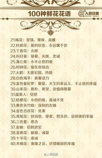 鲜花代表的含义 1一100送花的含义图片