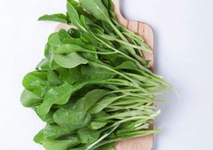 鸡毛菜35度可以长吗 夏天种鸡毛菜怎么种