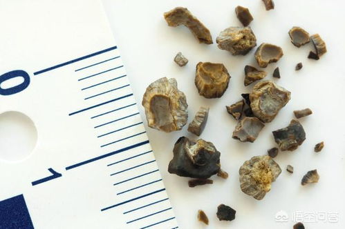 鸡血藤喝一天停一天 鸡血藤一个星期喝几次好