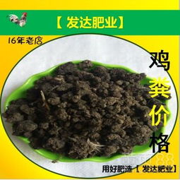 鸡屎晒干可以直接使用吗 干鸡粪可以做底肥吗
