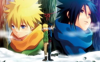 鸣人像是有病一样追着佐助 鸣人心脏停止佐助哭了