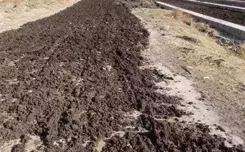 鸡粪盖一层土会烧根吗 生鸡粪埋土里多久不烧根