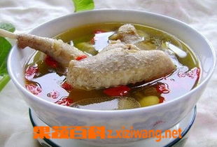 鸽子的相宜和相克食物 炖鸽子汤的最佳搭配