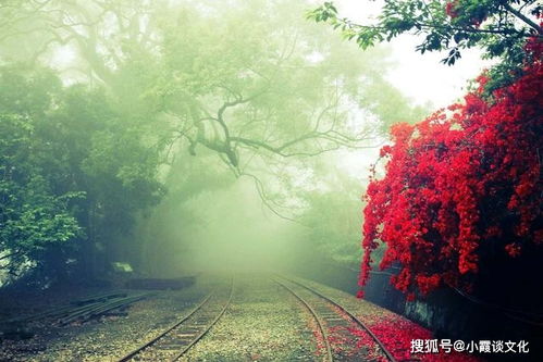 鸿运当头的唯美句子 鸿运当头下一句押韵