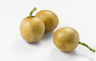 黄皮的作用与功效吃法 女人多吃黄皮果的好处